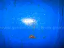 QUINCY QGB-25 AIR COMPRESSOR W/ AIRCEL VF-150 REFRIGERATED AIR DRYER