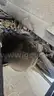 2018 CHTC BUS HT45