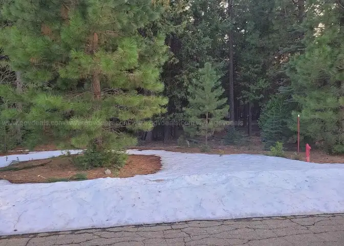.51 Acres Of Residential Land For Sale In Shingletown, CA