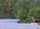 .51 Acres Of Residential Land For Sale In Shingletown, CA