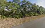 Buildable 10,000 Sq Ft. Residential Property In Port Charlotte, FL