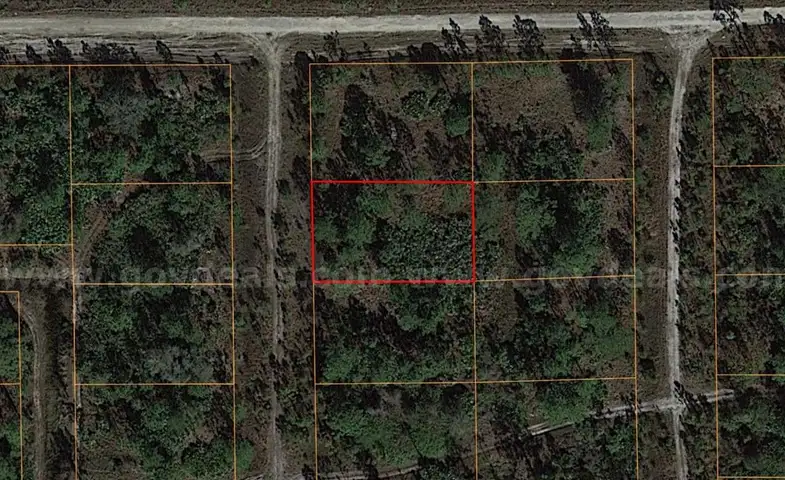 Residential Property in Undeveloped Lee County, FL