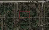 Residential Property in Undeveloped Lee County, FL