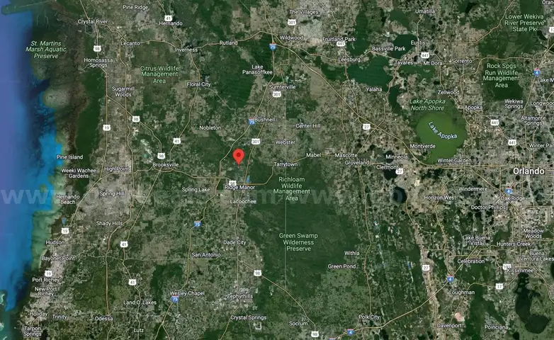 Undeveloped Half-Acre in Webster, FL