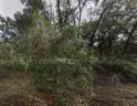 Undeveloped Half-Acre in Webster, FL