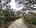 Undeveloped Half-Acre in Webster, FL