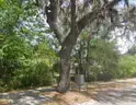 Residential, Undeveloped Lot in Deland, FL