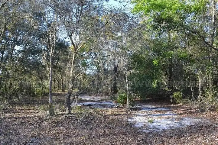 Undeveloped Corner Lot in Hudson, FL
