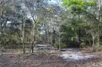 Undeveloped Corner Lot in Hudson, FL