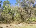 Residential, Undeveloped Double Lot in New Port Richey