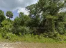 Undeveloped Single Family Residential Lot in North Port, FL