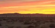 5 Scenic Acres For Sale In Adelanto, CA