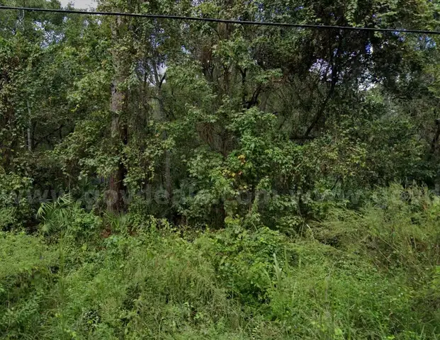 Double Parcel in New Port Ritchey, FL