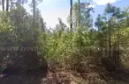 Level, Residential Lot near Lake George, FL