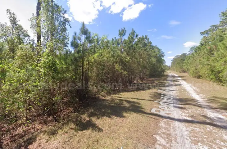 Level, Residential Lot near Lake George, FL