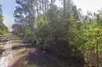 Level, Residential Lot near Lake George, FL
