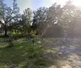 Vacant, Level Lot in Residential Ridge Manor, FL