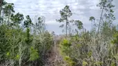 Undeveloped Residential Half-Acre in Panama City, FL