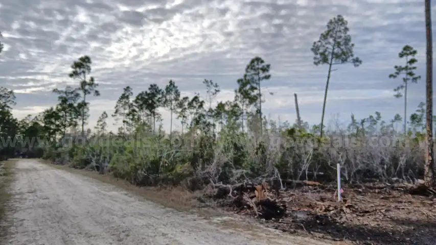 Undeveloped Residential Half-Acre in Panama City, FL