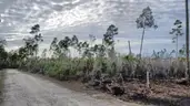 Undeveloped Residential Half-Acre in Panama City, FL