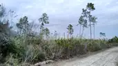 Undeveloped Residential Half-Acre in Panama City, FL