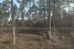 Undeveloped Residential Half-Acre in Panama City, FL