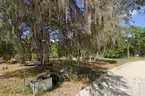 Agricultural Quarter-Acre in Crescent City, FL