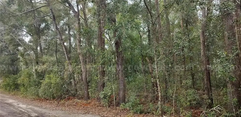 Wooded Home Site in Hernando, FL