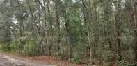 Wooded Home Site in Hernando, FL