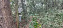 Wooded Home Site in Hernando, FL
