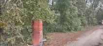Wooded Home Site in Hernando, FL