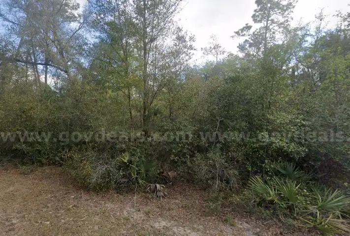 Vacant Residential Level Lot in Altoona, FL