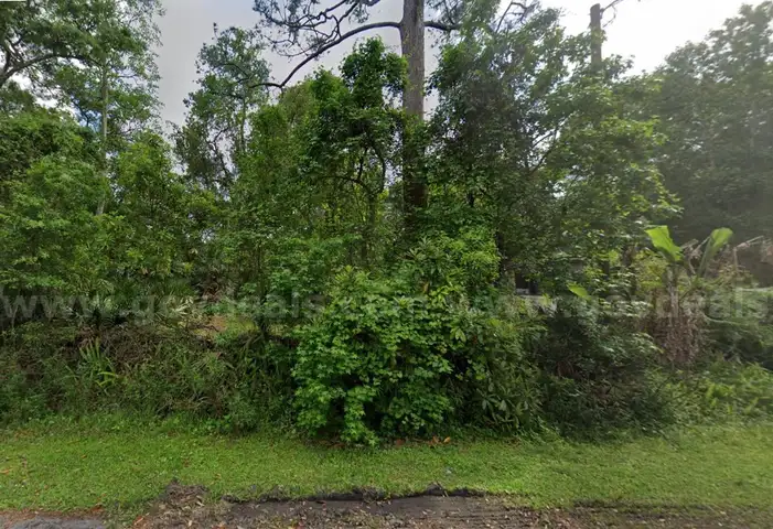 Vacant Residential Lot near St. John&#x2019;s River in Astor, FL