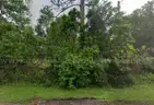 Vacant Residential Lot near St. John&#x2019;s River in Astor, FL