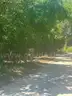 Vacant Two-Family Residential Lot in Ocala, FL