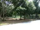 Vacant Residential Lot in Pensacola, FL