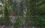 Vacant Residential Lot in Ocala, FL with Fence