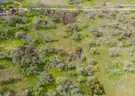 4.6 Acres of Scenic Land in Squaw Valley, CA