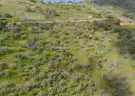 4.6 Acres of Scenic Land in Squaw Valley, CA