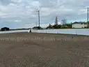 Rink Boards