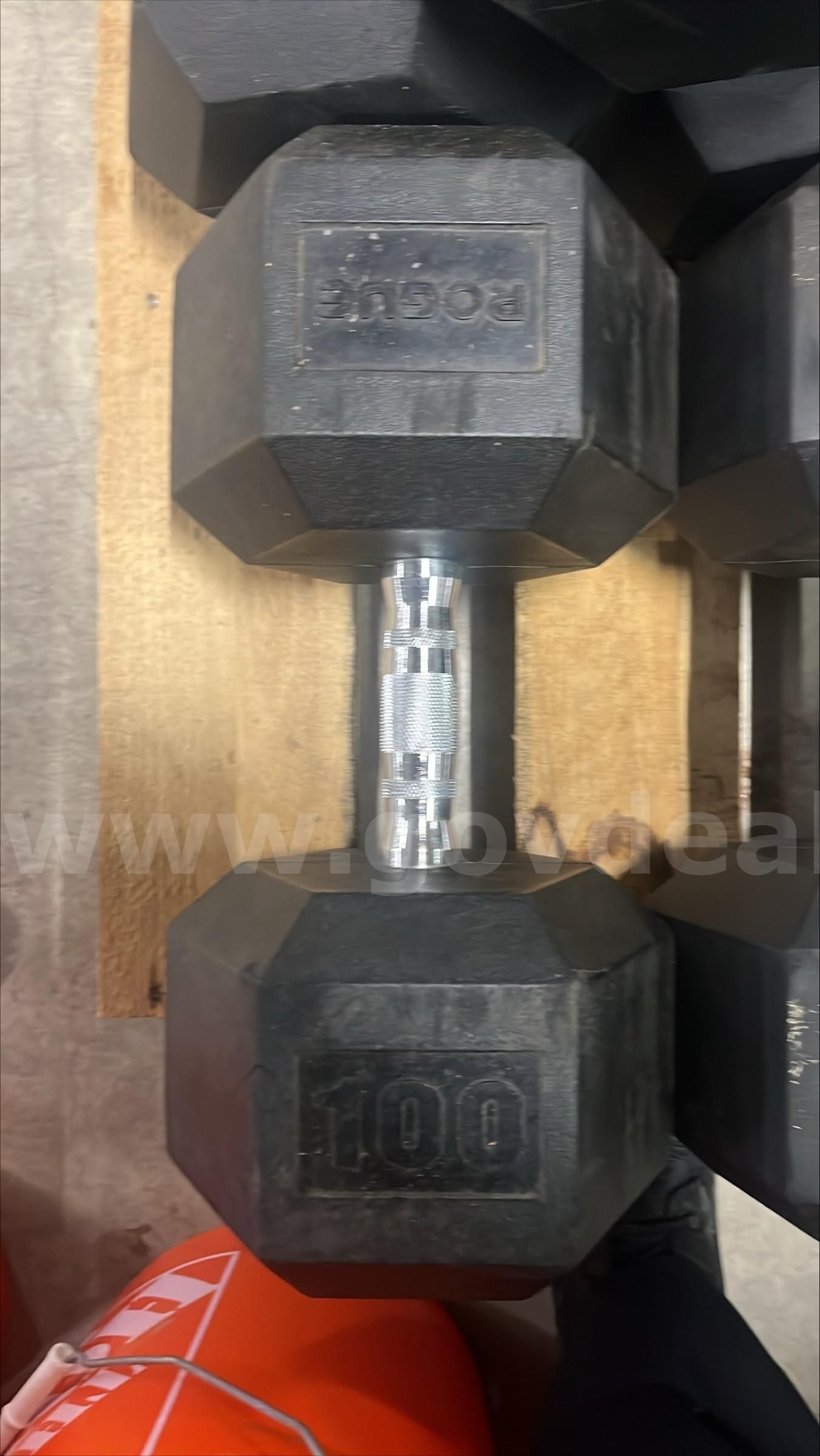 Rogue dumbbells for online sale