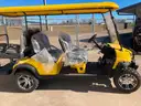 2024 VIP EV60V-6 6 Passenger Golf Cart
