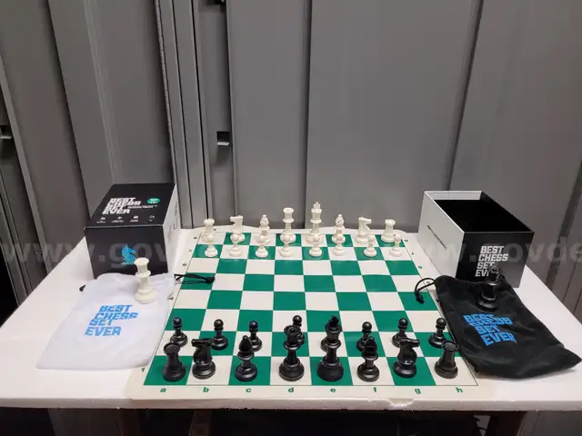 Best Chess Set Ever - Triple Weighted