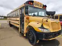 2008 International 3000