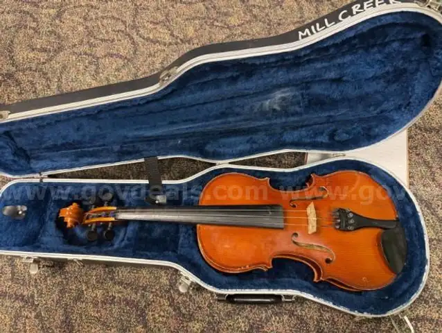15&#x201D; Viola Fischer