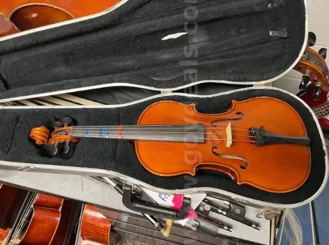 14&#x201D; Viola Eastman Signature Series