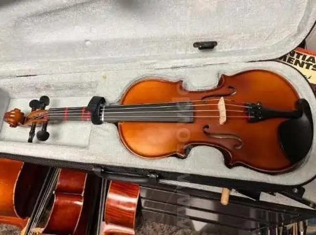 14&#x201D; Viola No Label