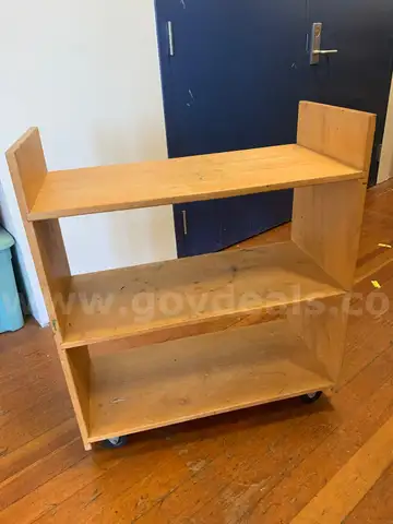 Wooden Bookshelf/Storage Cabinet on Wheels