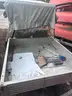Gas Powered golf cart