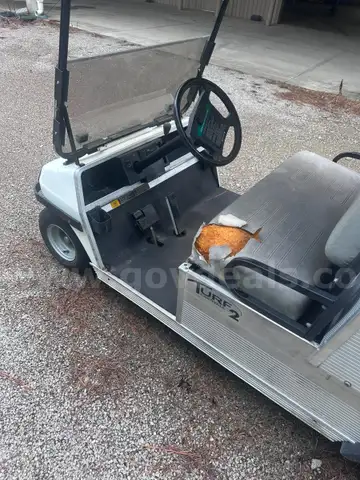 Gas Powered golf cart
